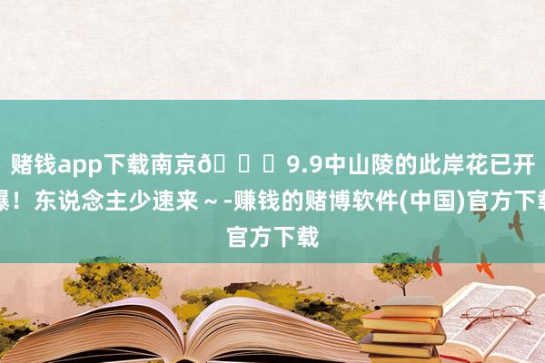 赌钱app下载南京📍9.9中山陵的此岸花已开爆!东说念主少速来~-赚钱的赌博软件(中国)官方下载