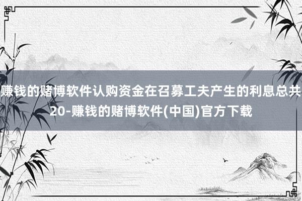 赚钱的赌博软件认购资金在召募工夫产生的利息总共20-赚钱的赌博软件(中国)官方下载