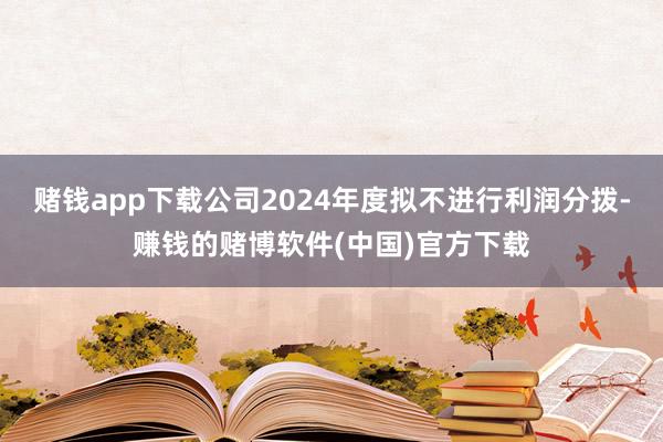 赌钱app下载公司2024年度拟不进行利润分拨-赚钱的赌博软件(中国)官方下载