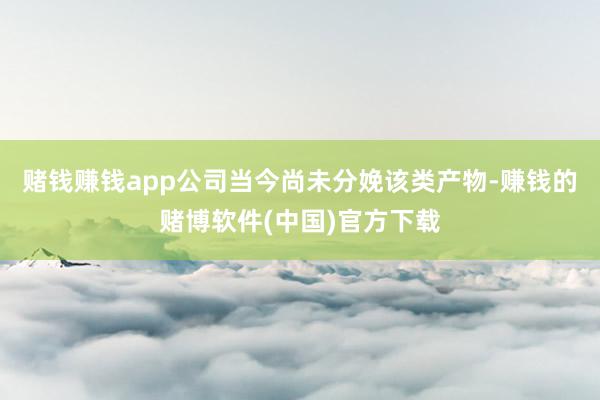 赌钱赚钱app公司当今尚未分娩该类产物-赚钱的赌博软件(中国)官方下载