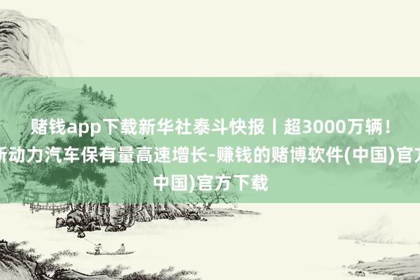 赌钱app下载新华社泰斗快报丨超3000万辆！我国新动力汽车保有量高速增长-赚钱的赌博软件(中国)官方下载