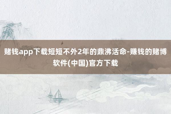 赌钱app下载短短不外2年的鼎沸活命-赚钱的赌博软件(中国)官方下载