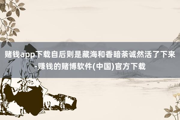 赌钱app下载自后则是藏海和香暗荼诚然活了下来-赚钱的赌博软件(中国)官方下载