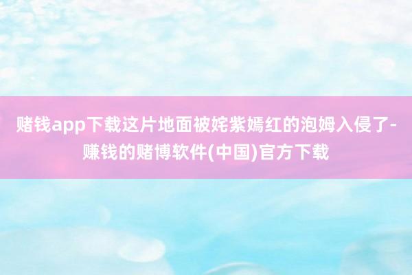 赌钱app下载这片地面被姹紫嫣红的泡姆入侵了-赚钱的赌博软件(中国)官方下载