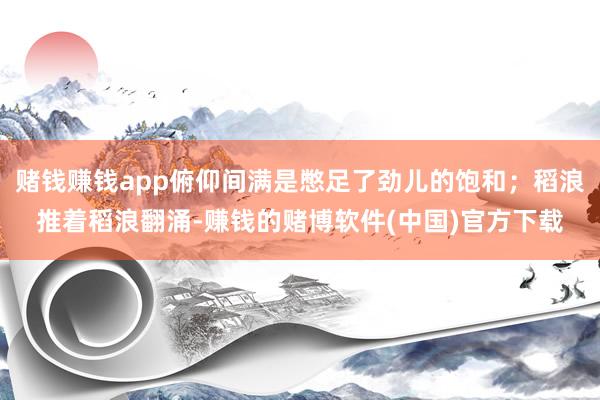 赌钱赚钱app俯仰间满是憋足了劲儿的饱和；稻浪推着稻浪翻涌-赚钱的赌博软件(中国)官方下载