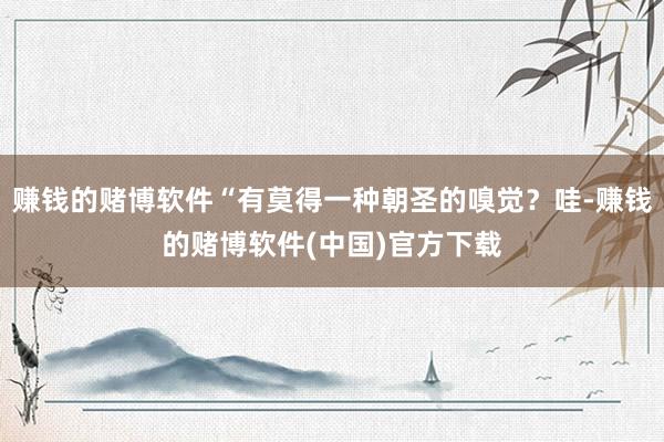赚钱的赌博软件“有莫得一种朝圣的嗅觉？哇-赚钱的赌博软件(中国)官方下载