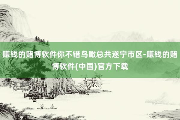 赚钱的赌博软件你不错鸟瞰总共遂宁市区-赚钱的赌博软件(中国)官方下载