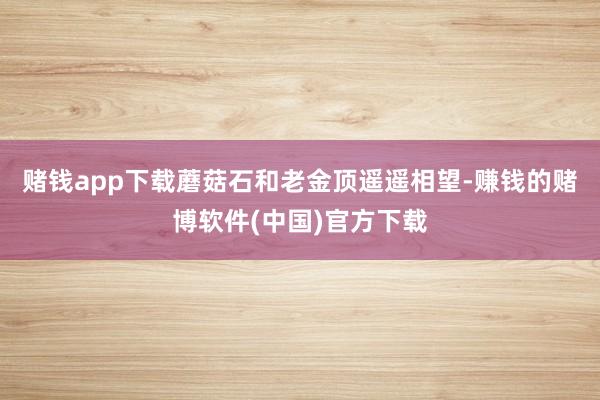 赌钱app下载蘑菇石和老金顶遥遥相望-赚钱的赌博软件(中国)官方下载