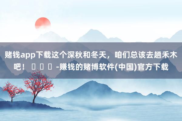 赌钱app下载这个深秋和冬天，咱们总该去趟禾木吧！ ​​​-赚钱的赌博软件(中国)官方下载