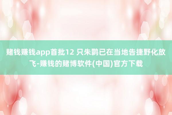 赌钱赚钱app首批12 只朱鹮已在当地告捷野化放飞-赚钱的赌博软件(中国)官方下载